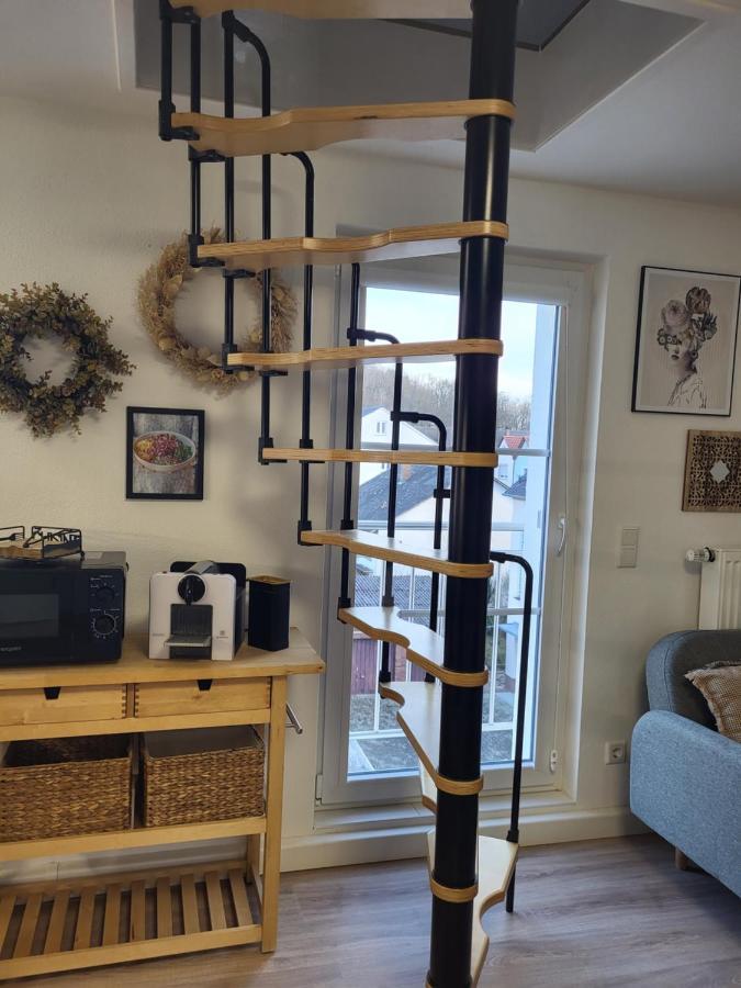 Beautiful Cozy Close To Lakes And Nature Parks Apartment *