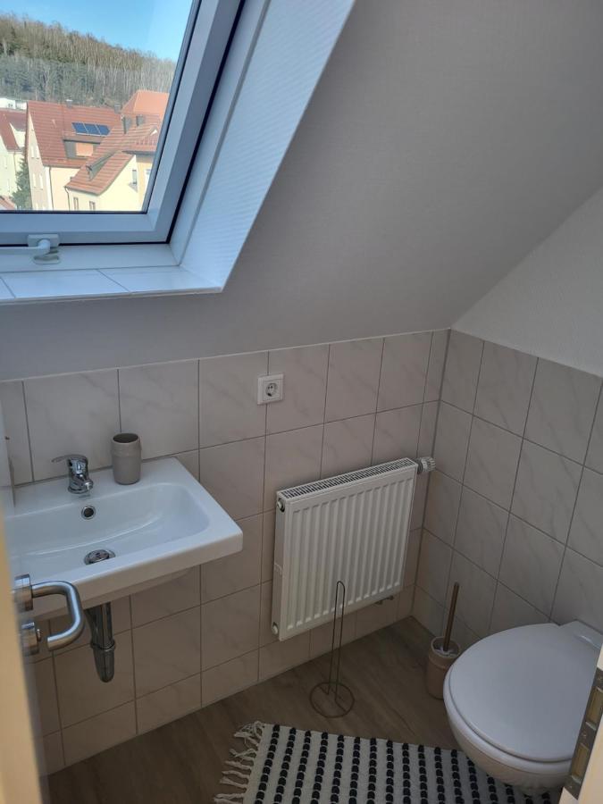Beautiful Cozy Close To Lakes And Nature Parks Apartment